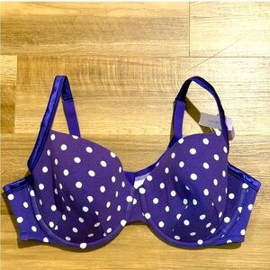 Cacique Bra Purple and White Polka Dots 44D New With Tags